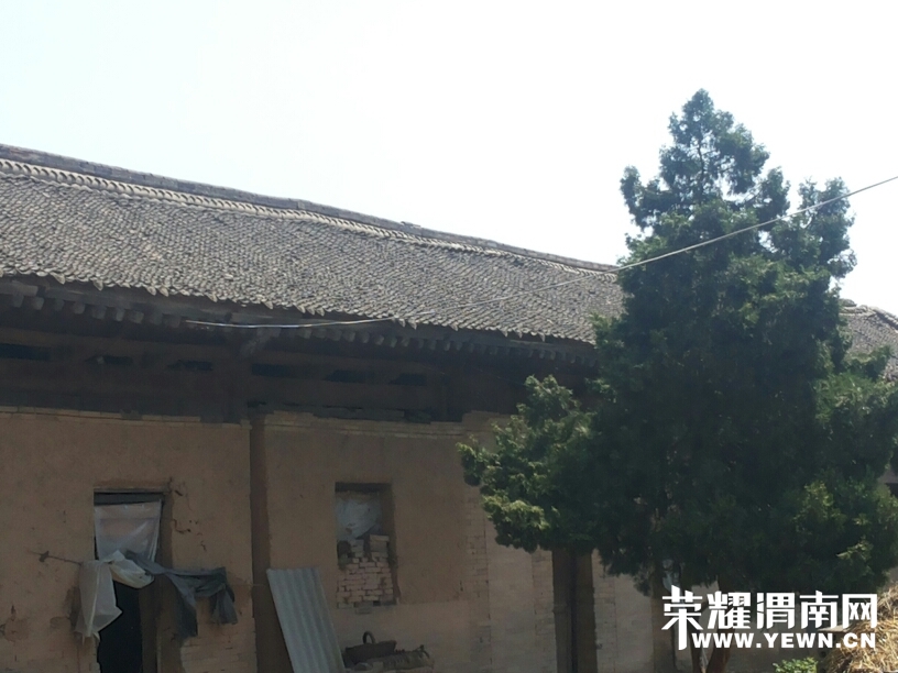 214916bjjst6htxee54hx5.jpg
