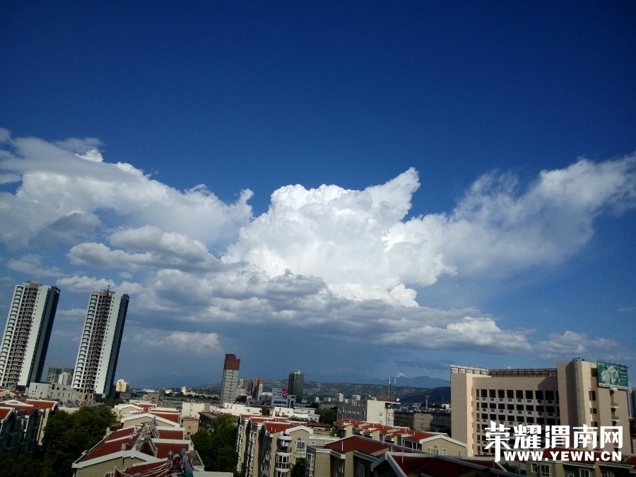 095356g4cc543vznpm04zl.jpg