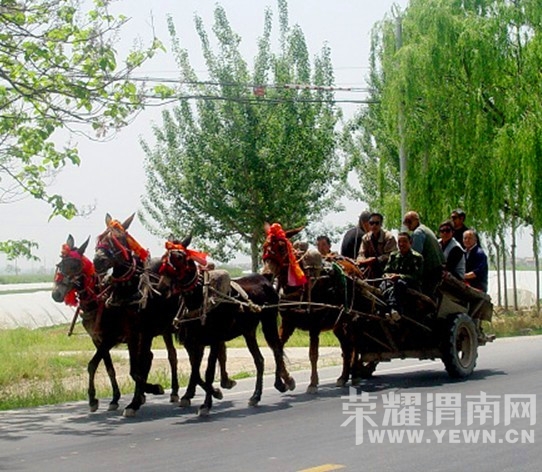20110425020712556_9742.jpg