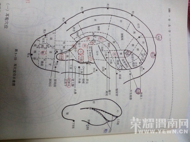 185726xu68289p9yxu9sy3.jpg