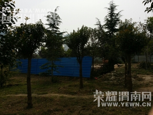 110343qhozo3jbf1b1ov1u.jpg