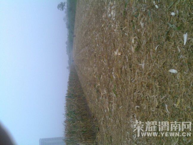 170229r9xc6x9sww612x9x.jpg