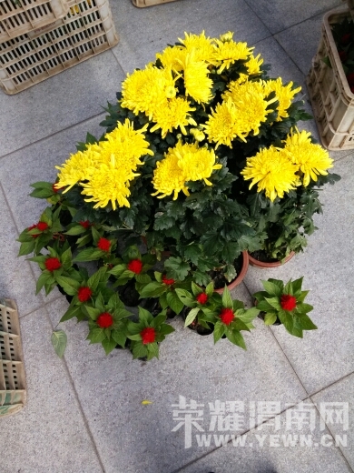 162135czk003ttv1n99xe9.jpg