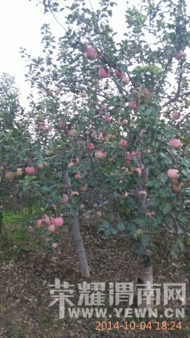 082556xavav8mavkptzvwa.jpg