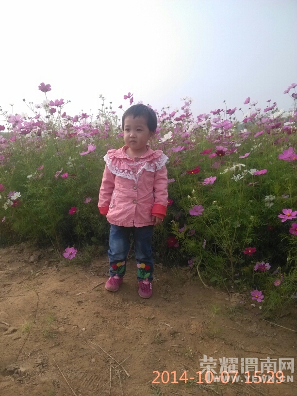 163106fm2785sok1omu10t.jpg