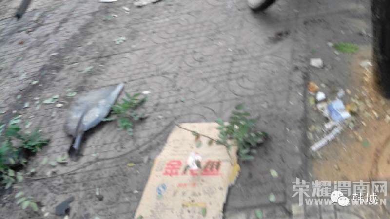 154701lo4gh7d7gi9wkp97.jpg