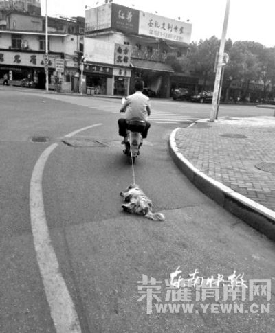 U3938P1T1D30956668F21DT20141008085502.jpg