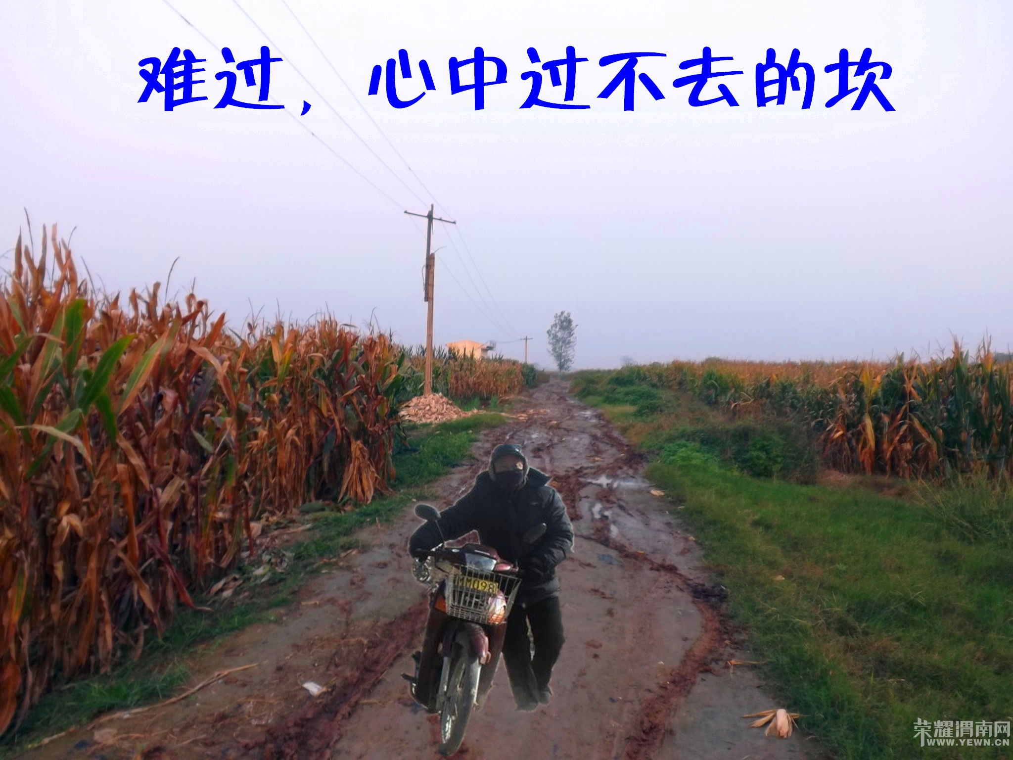 153848prp0f3ec5rp565i0.jpg