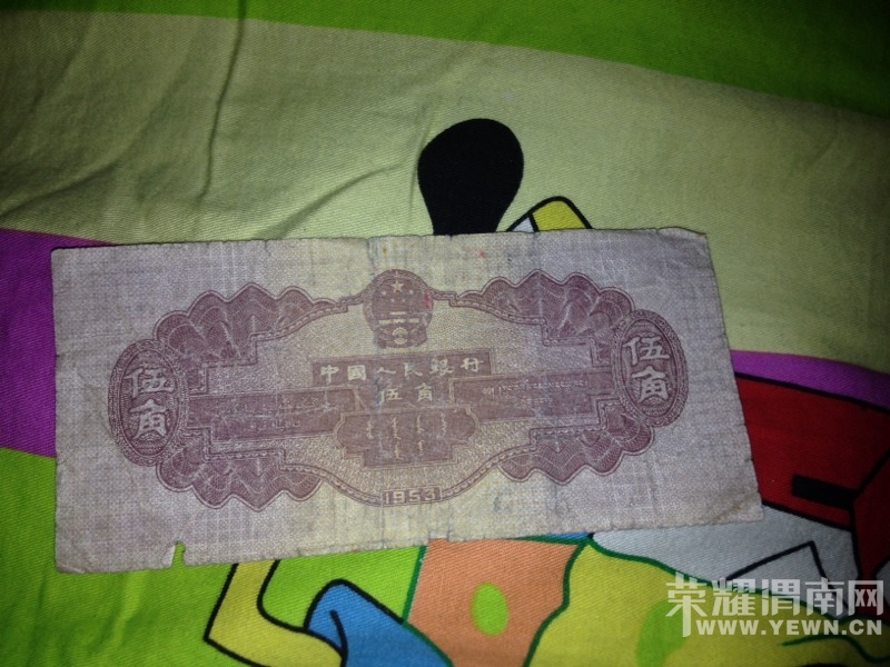200346yixdu7id63u76mgd.jpg