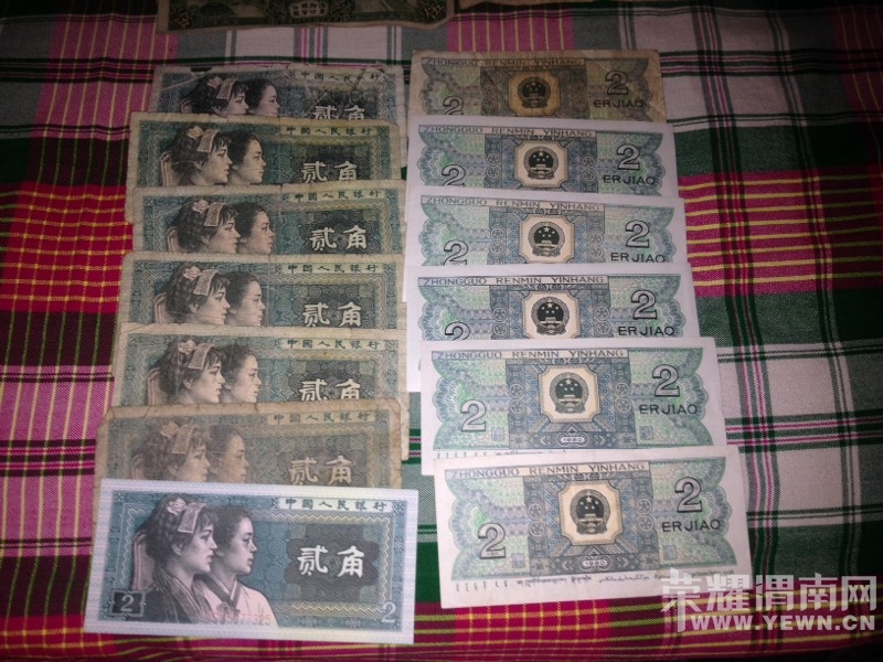 200618foppziioprtf50rz.jpg