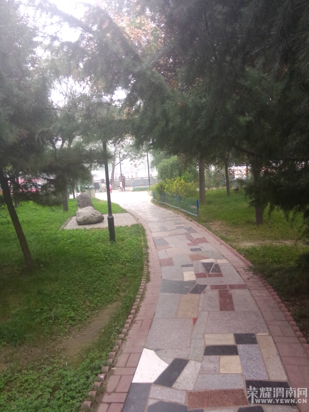 213938t31p14h45pe1ppuq.jpg
