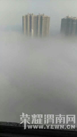 212810mpe1xopog3xb8g9x.jpeg