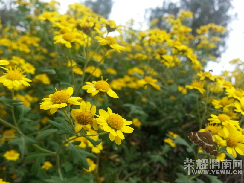 104014az499djj9z6ph8yc.jpg
