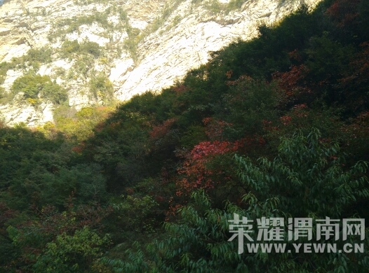140417j6etik8xxnv7xe5t.jpg