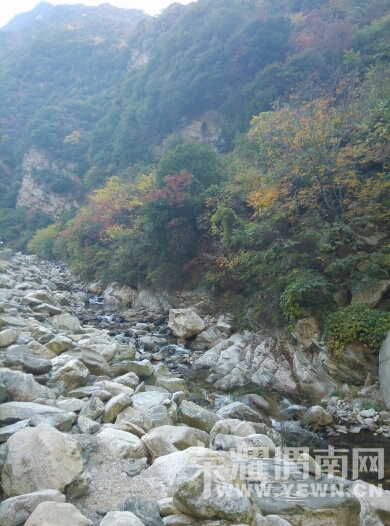 140420u6zvb6pawwbzkt89.jpg