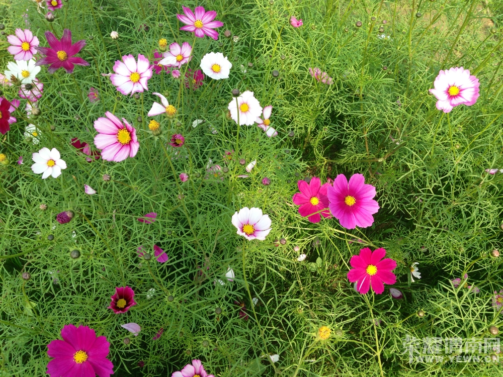 154209xaexz0p3zqtpea2q.jpg