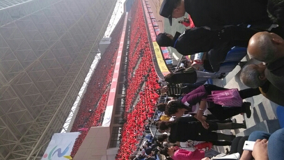 170020yah6ueh108anp282.jpg