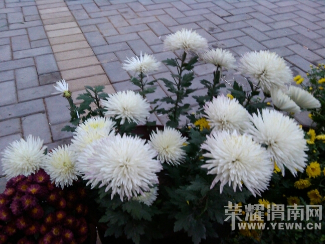 193102vit9xg5sboflp9oh.jpg