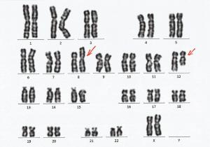 112842890.jpg