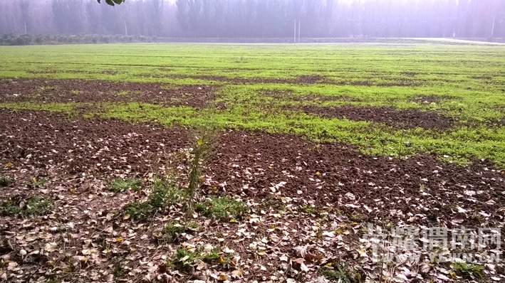 WP_20141021_13_03_53_Pro.jpg