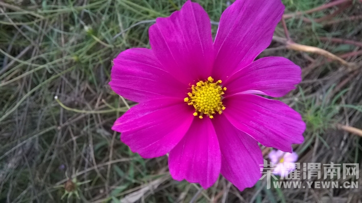 WP_20141031_13_36_12_Pro.jpg