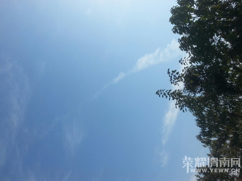 120232t0mdf9m52fx2642d.jpg