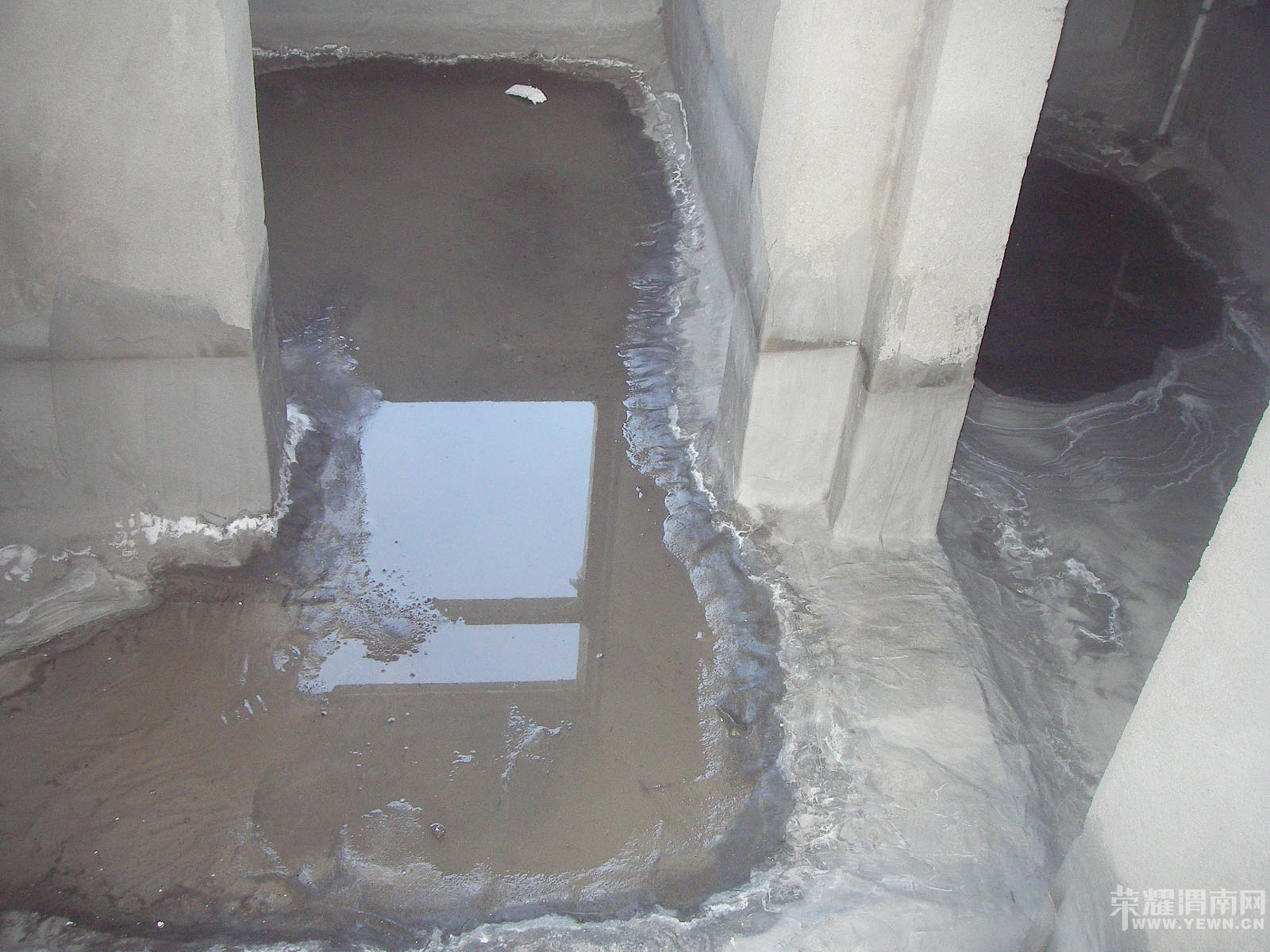 SANY0019.jpg