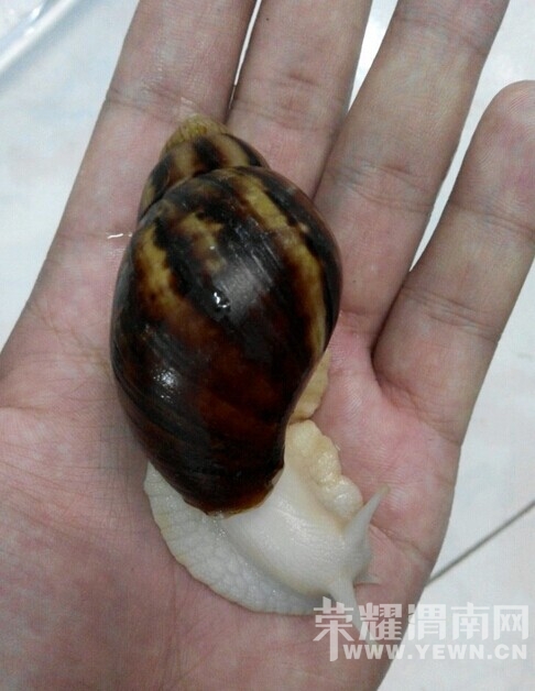 QQͼƬ20141118084251.jpg