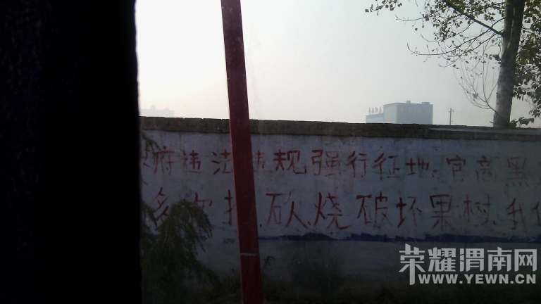 111904wn98tw88mqfhty9m.jpg