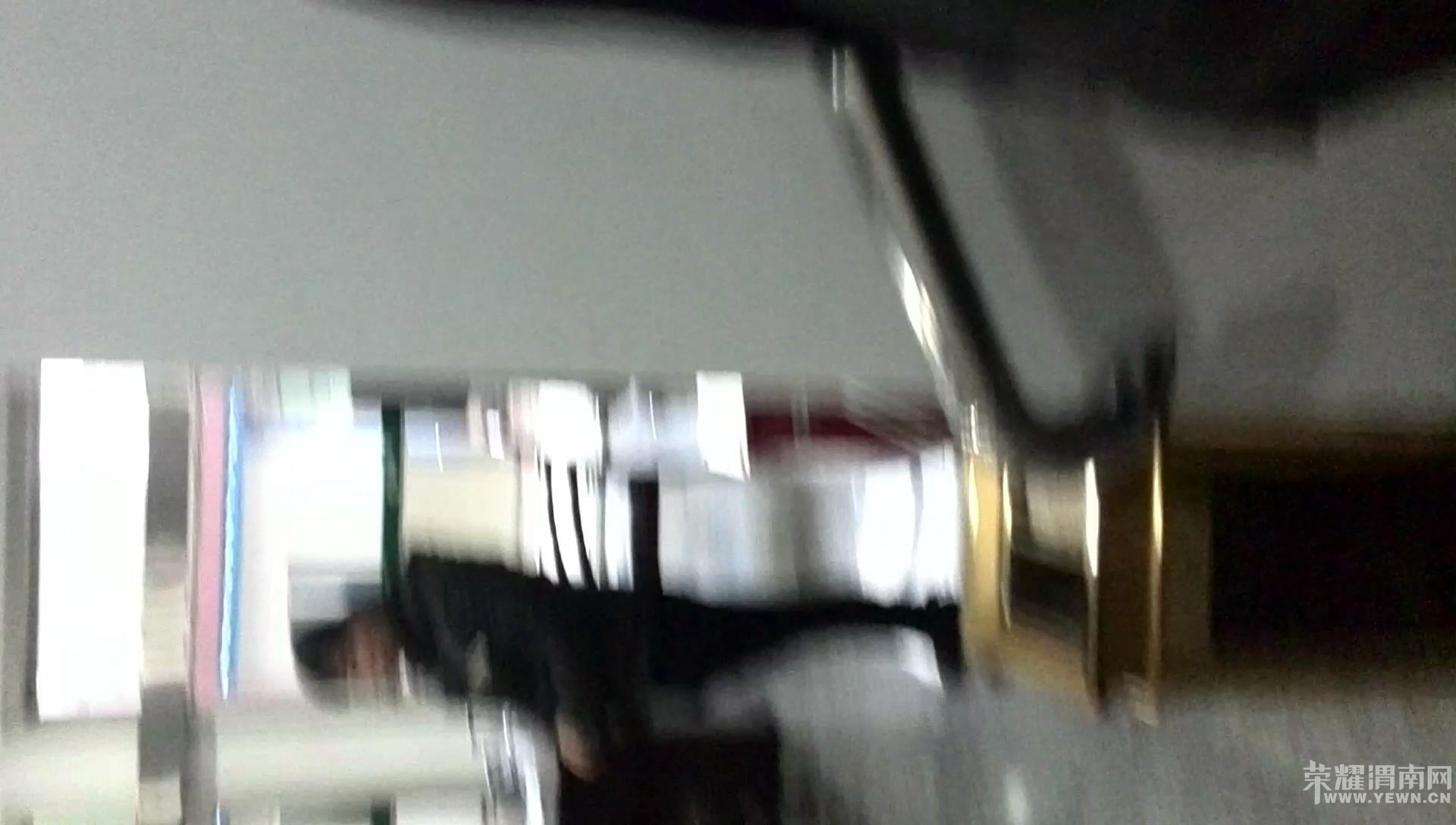3.JPG