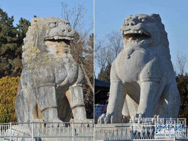 114144187.jpg