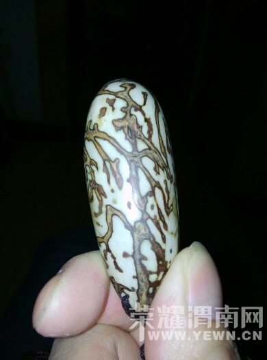 110547yc7jcsbacjabcbkb.jpg