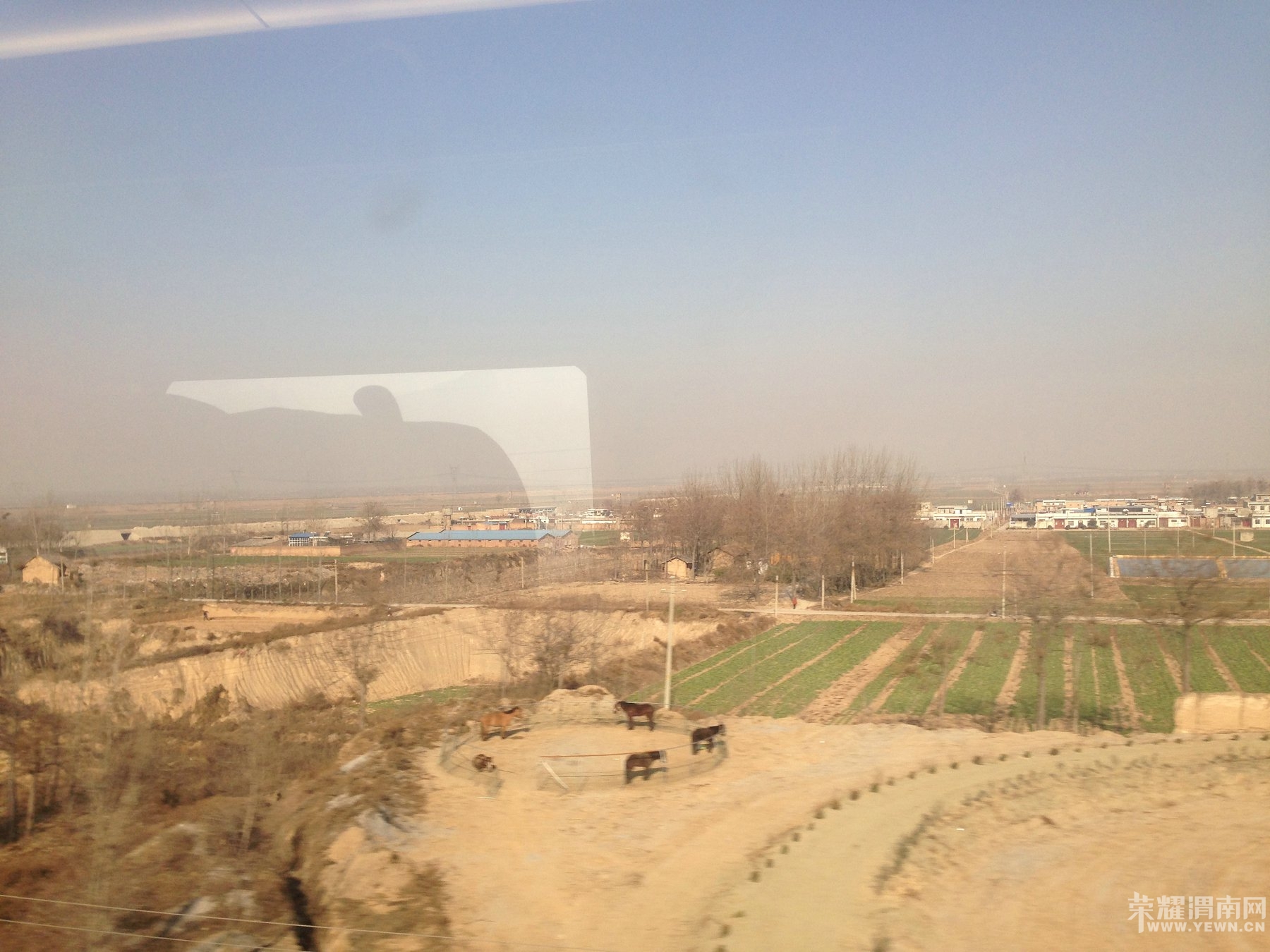 20141222_IMG_2501.JPG