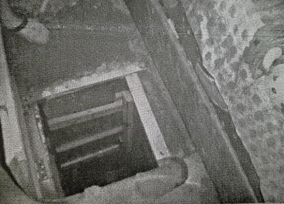 116137690.jpg