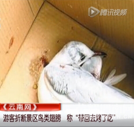 QQ��ͼ20150208001925.jpg