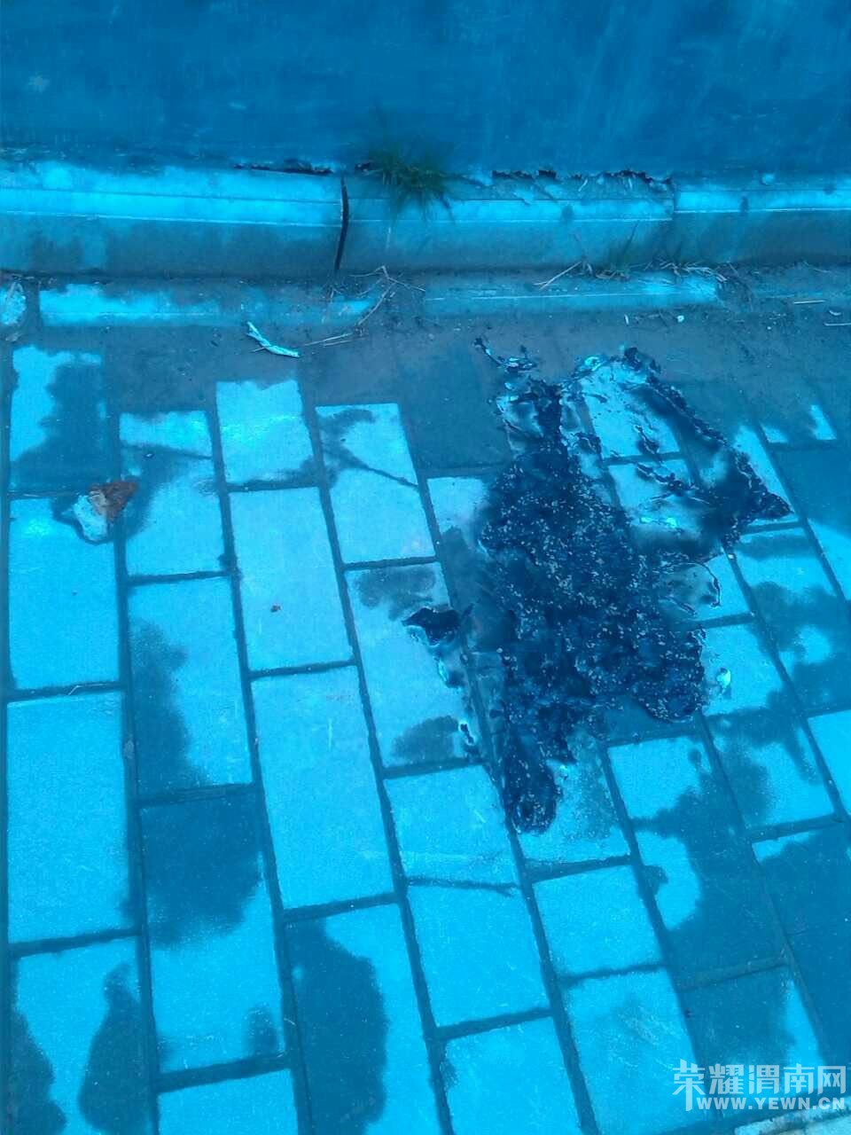 �޳ܵĿ����̾�Ȼ�ջٺ��