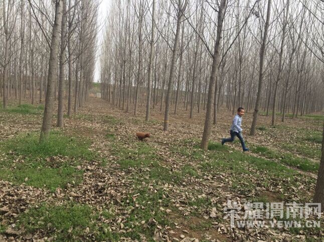 QQͼƬ20150402112835.jpg