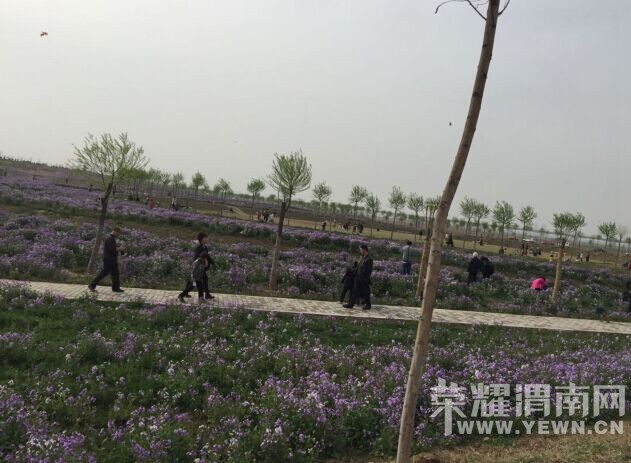 QQͼƬ20150402115630.jpg