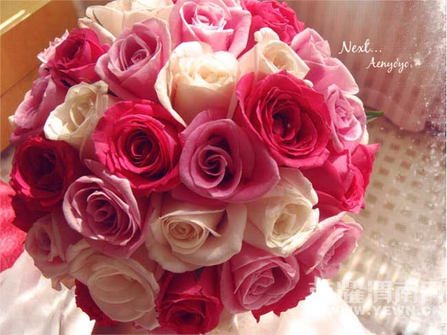 marryme_658966_5008586_m.jpg
