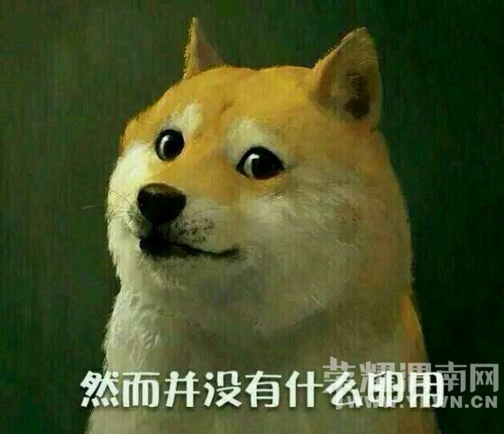 733373cb0a46f21f9a1d1bfff3246b600d33ae6e.jpg
