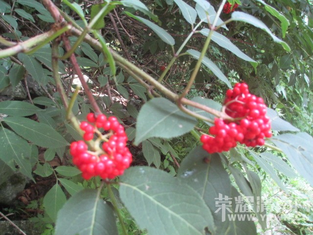 IMG_8172.JPG