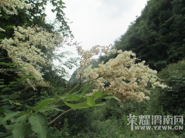 IMG_8234.JPG