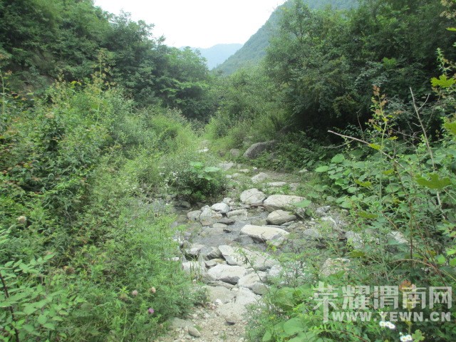 IMG_8239.JPG