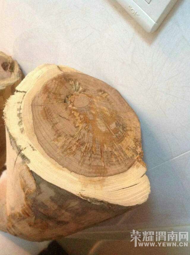 webwxgetmsgimg (6).jpg