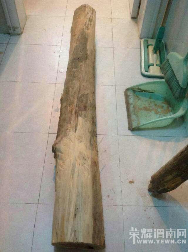 webwxgetmsgimg (4).jpg