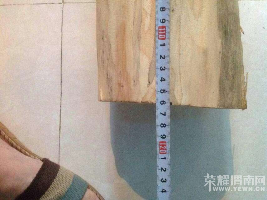 webwxgetmsgimg (3).jpg