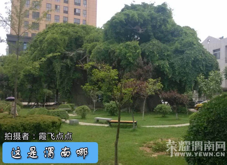 ������μ����-91�ڡ��ô�һ��������ɫ��ף������ף���������أ�