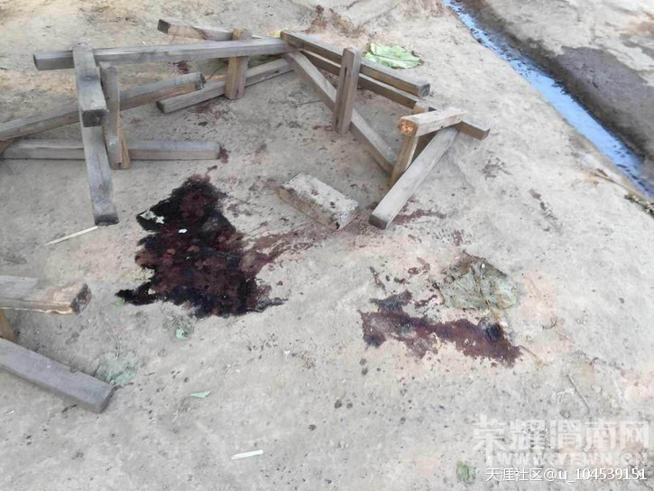 ���컯��֮�£���ͽ�ֵ����׿���     