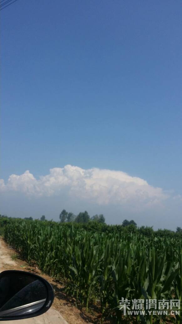 ܫ�ϵ�ƻ�������ޣ����Ŷ��������~