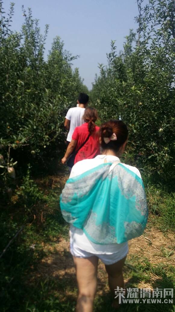 ܫ�ϵ�ƻ�������ޣ����Ŷ��������~